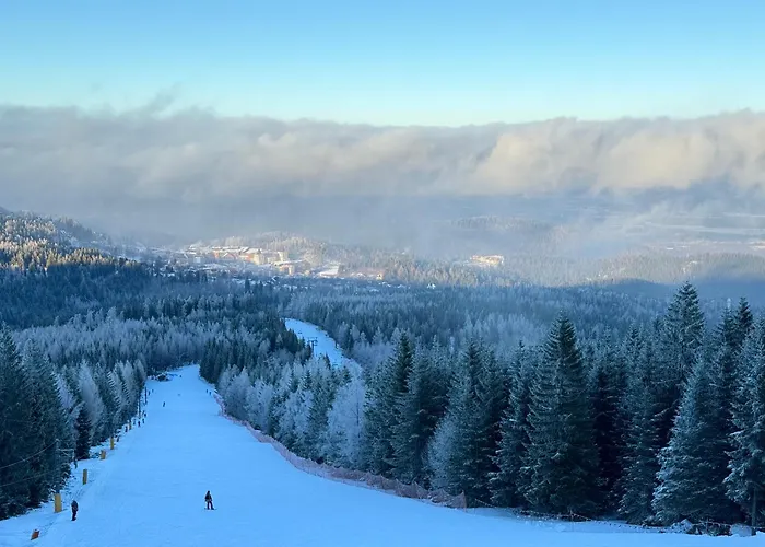 Wolnostojacy Domek Goralski - Blisko Szlakow I Aquaparku - Z Prywatna Sauna, Ogrodem