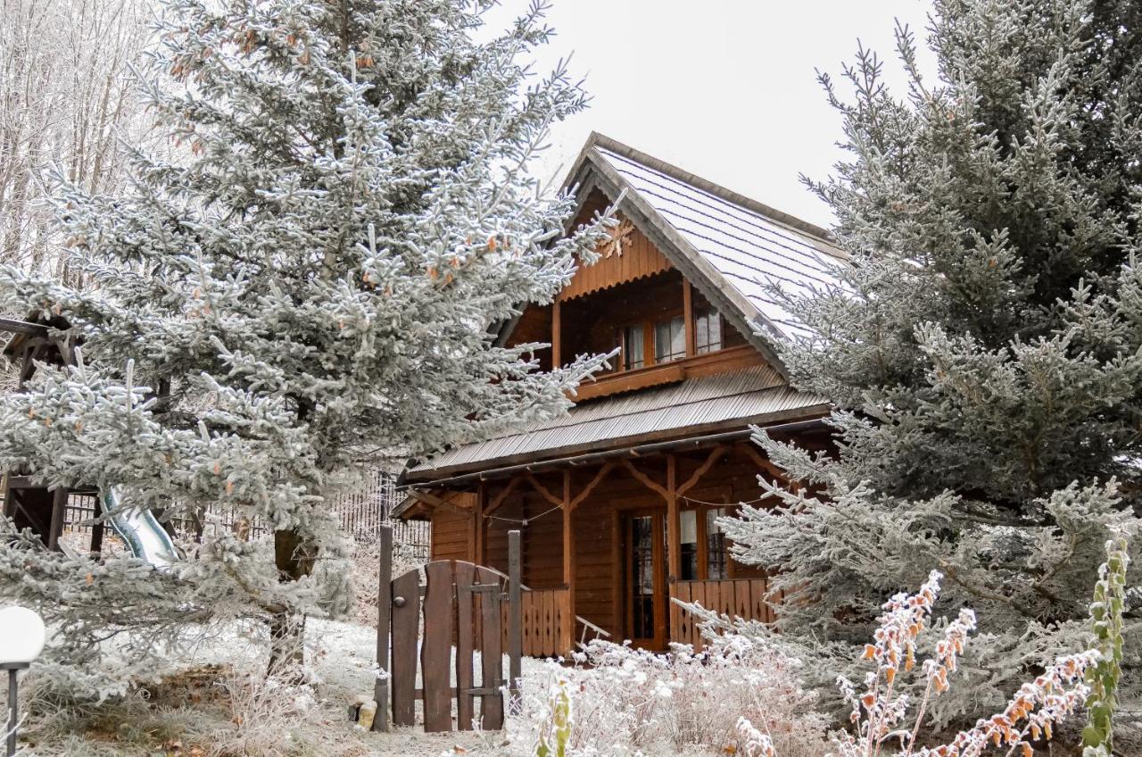 Wolnostojacy Goralski - Blisko Szlakow I Aquaparku - Z Prywatna Sauna, Ogrodem Chalet Karpacz