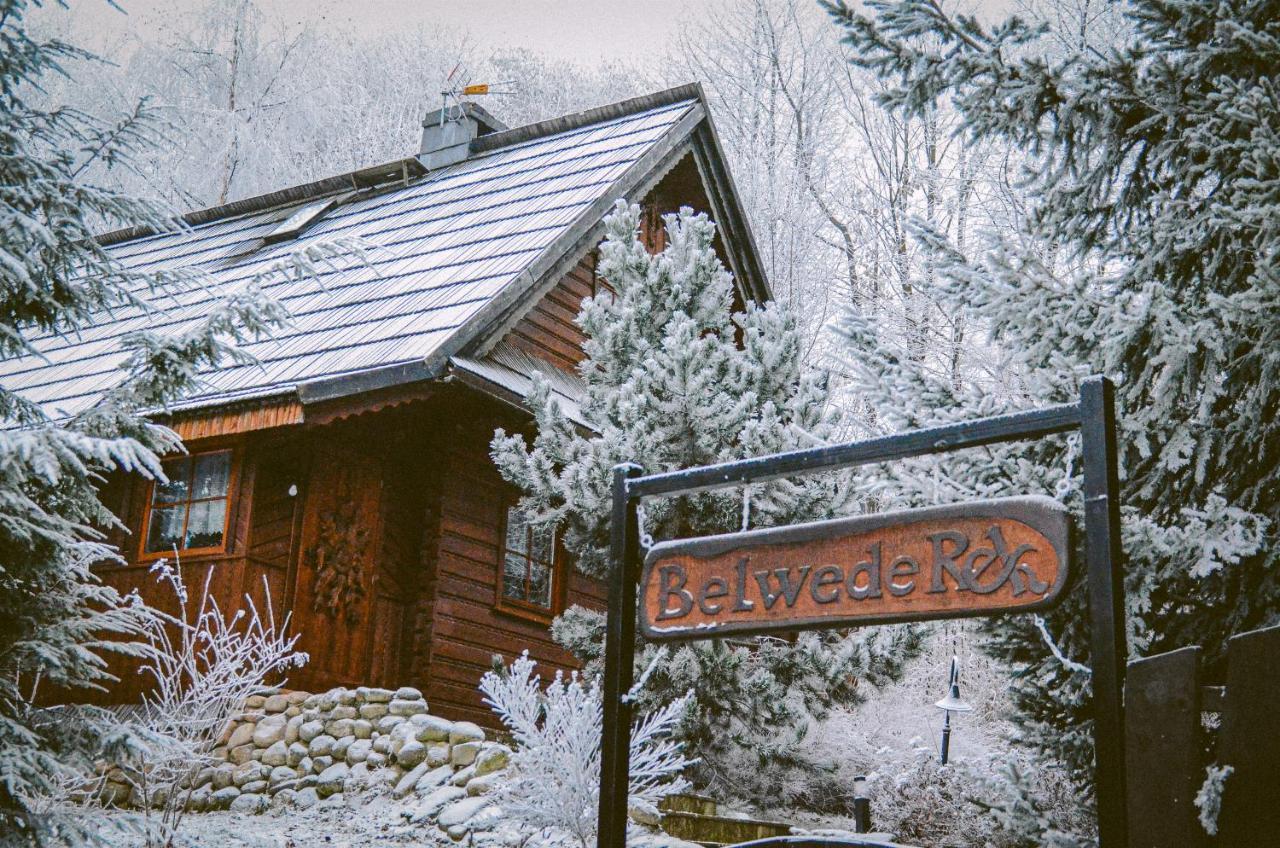 Wolnostojacy Goralski - Blisko Szlakow I Aquaparku - Z Prywatna Sauna, Ogrodem