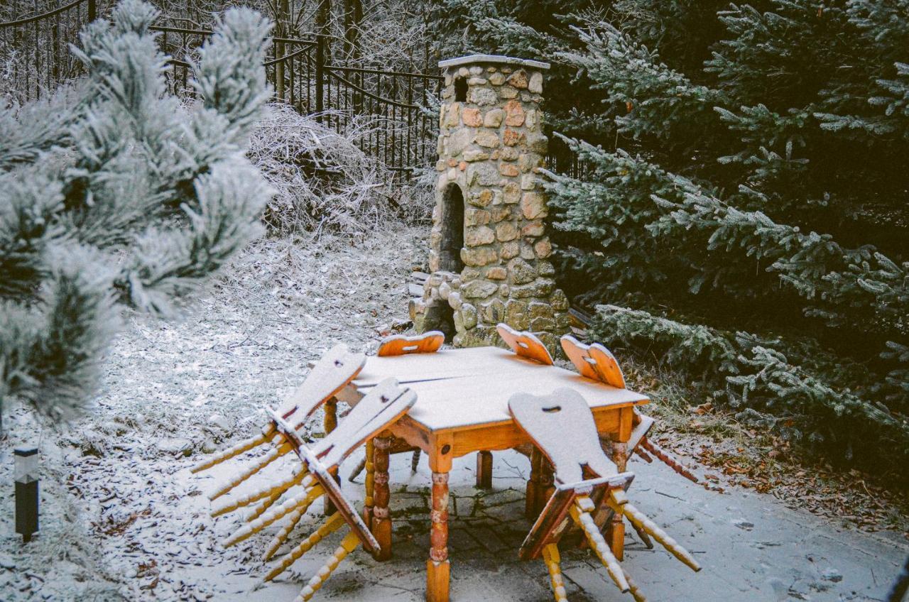 Chalet Wolnostojacy Goralski - Blisko Szlakow I Aquaparku - Z Prywatna Sauna, Ogrodem