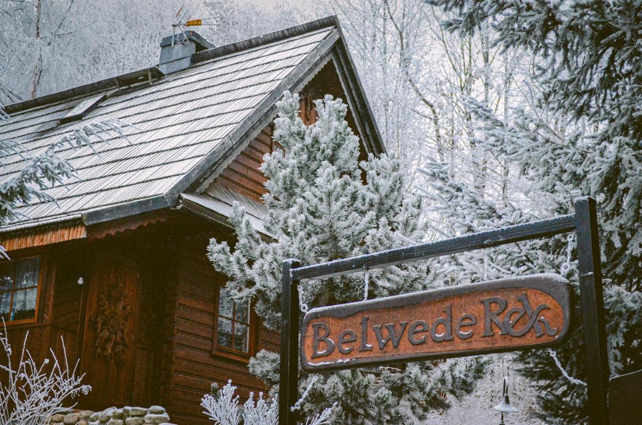 Wolnostojacy Goralski - Blisko Szlakow I Aquaparku - Z Prywatna Sauna, Ogrodem Chalet *