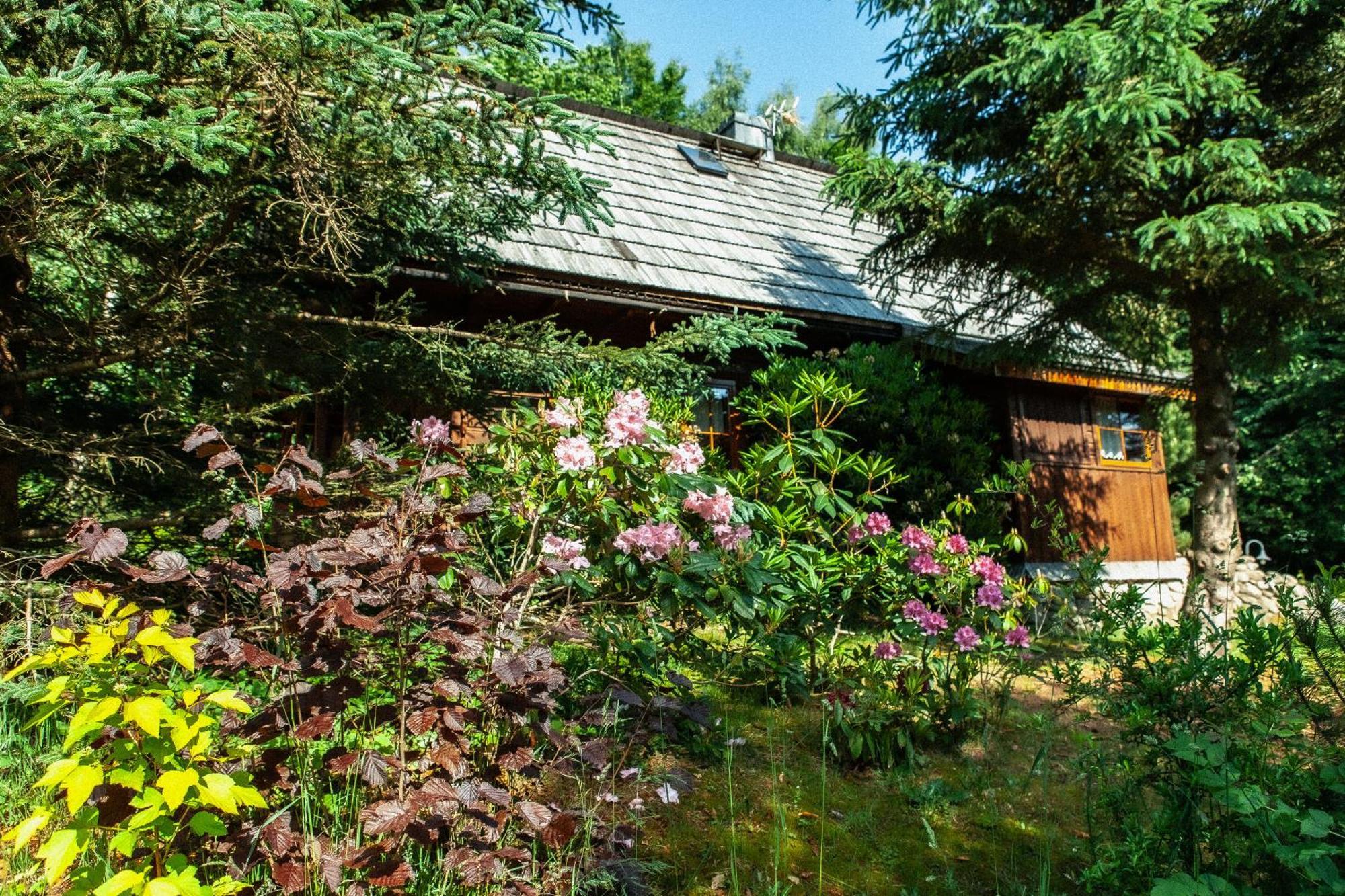 Chalet Wolnostojacy Goralski - Blisko Szlakow I Aquaparku - Z Prywatna Sauna, Ogrodem *