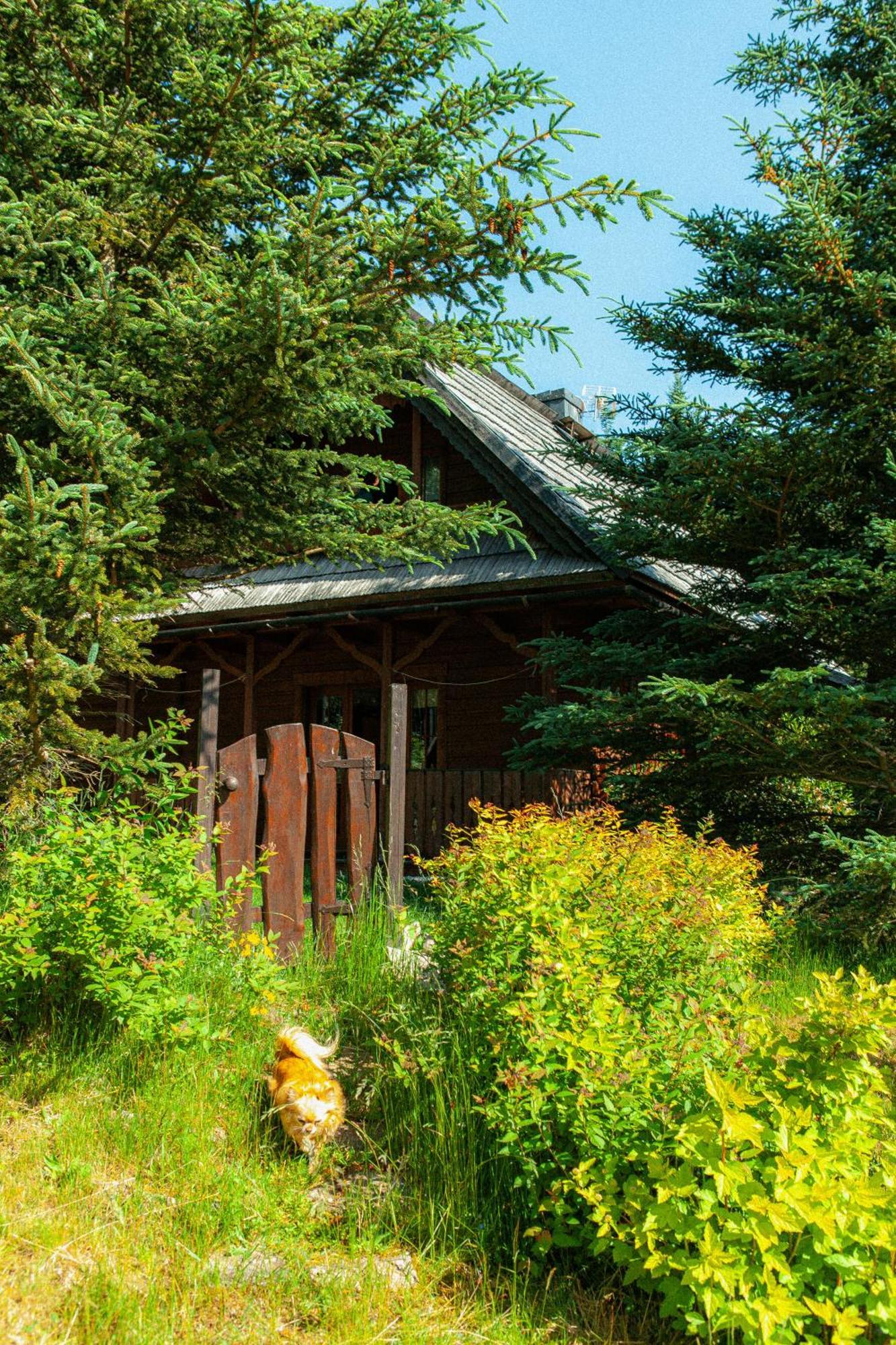 Wolnostojacy Goralski - Blisko Szlakow I Aquaparku - Z Prywatna Sauna, Ogrodem * Karpacz