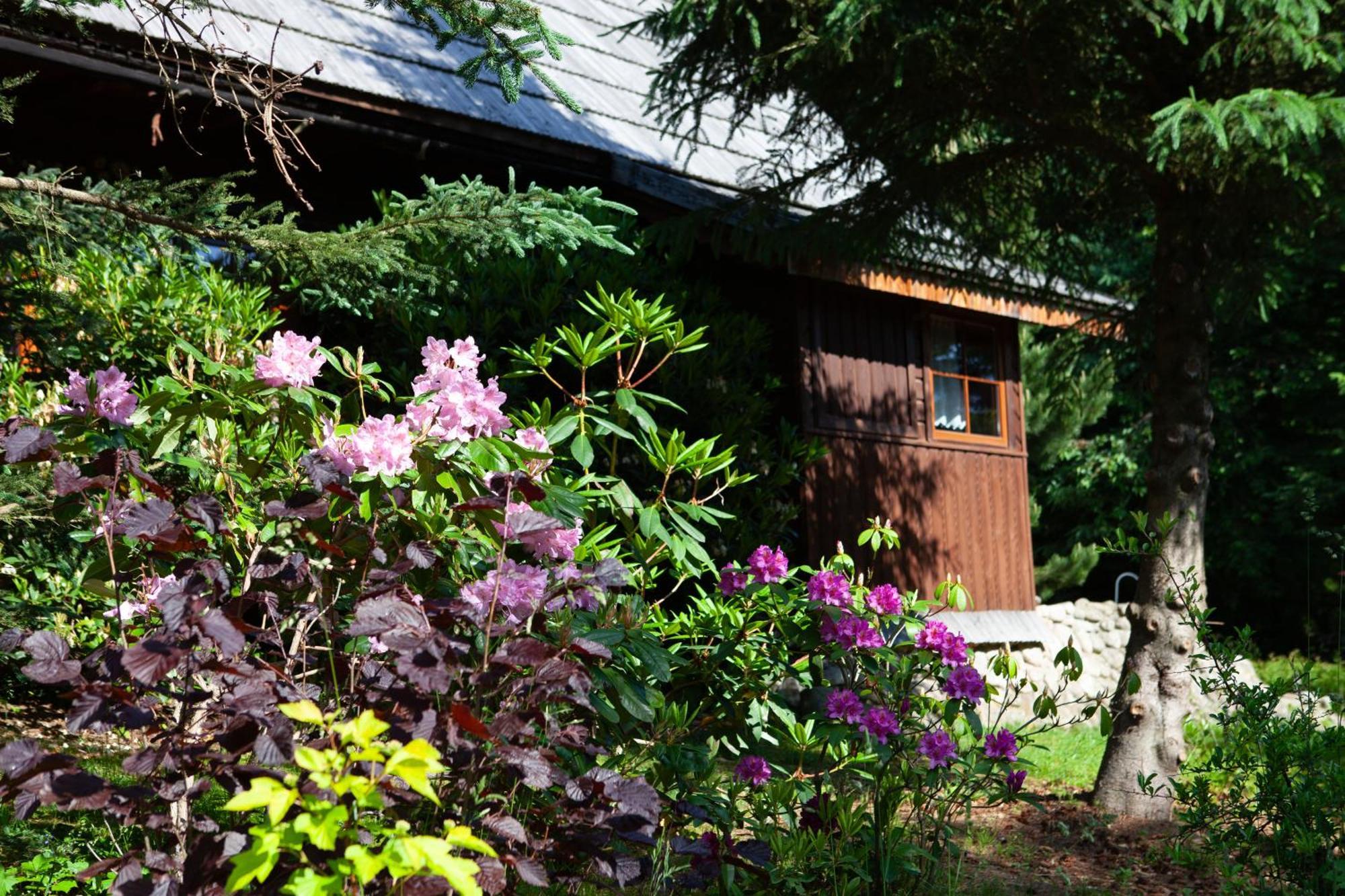 Wolnostojacy Goralski - Blisko Szlakow I Aquaparku - Z Prywatna Sauna, Ogrodem Chalet *